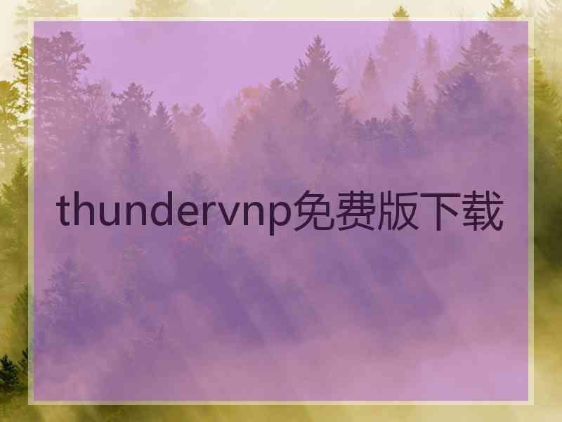 thundervnp免费版下载