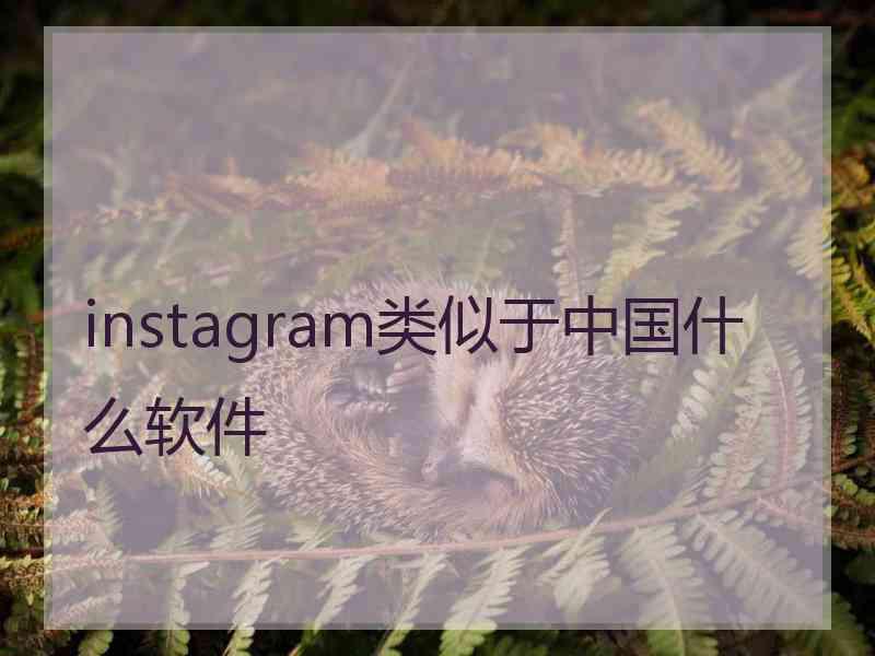 instagram类似于中国什么软件