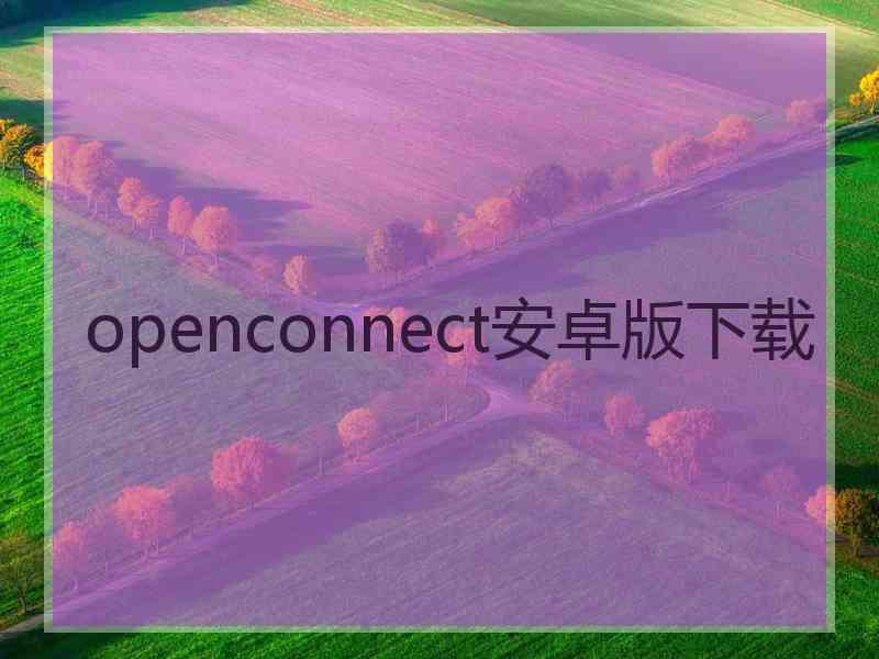 openconnect安卓版下载