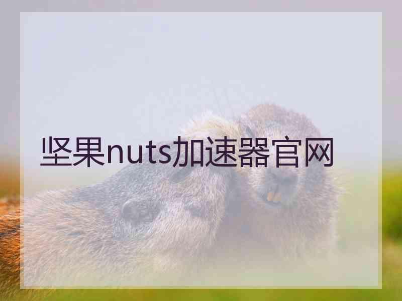 坚果nuts加速器官网