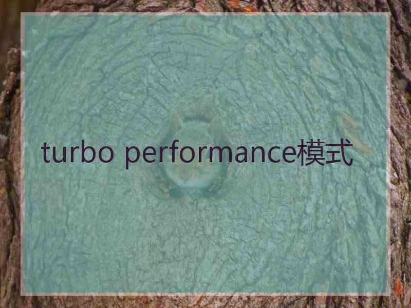 turbo performance模式