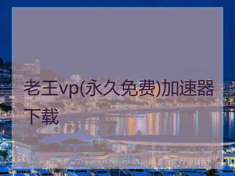 老王vp(永久免费)加速器下载