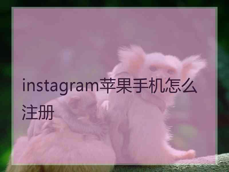 instagram苹果手机怎么注册