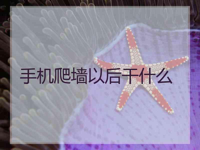 手机爬墙以后干什么