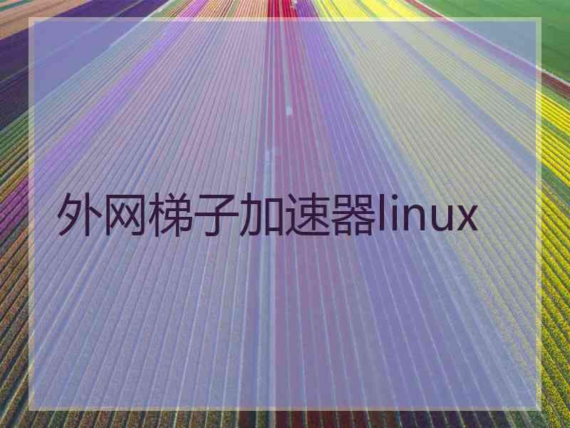 外网梯子加速器linux