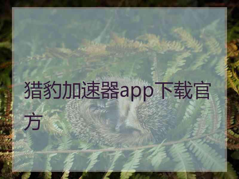 猎豹加速器app下载官方