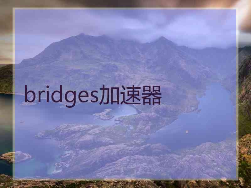 bridges加速器