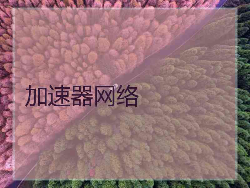 加速器网络