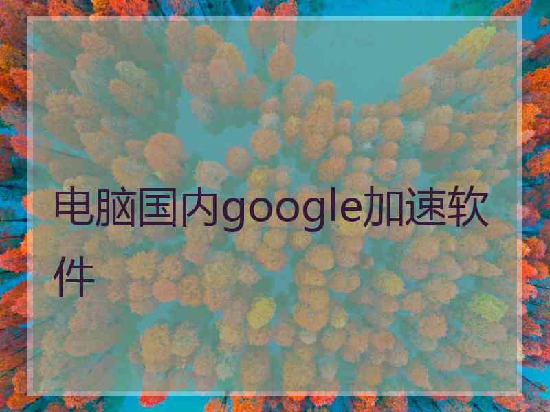 电脑国内google加速软件