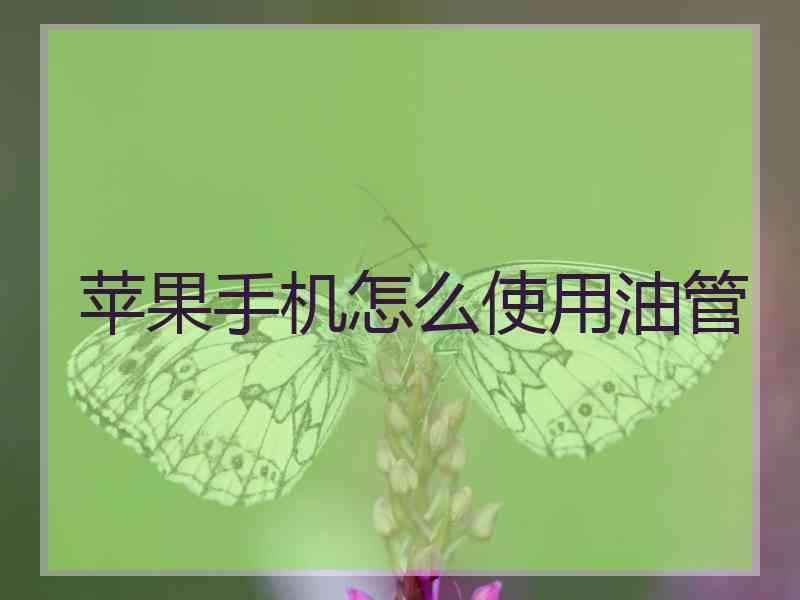 苹果手机怎么使用油管