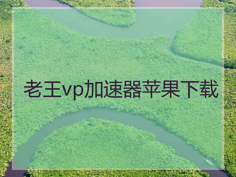 老王vp加速器苹果下载