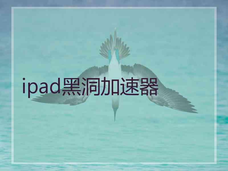 ipad黑洞加速器