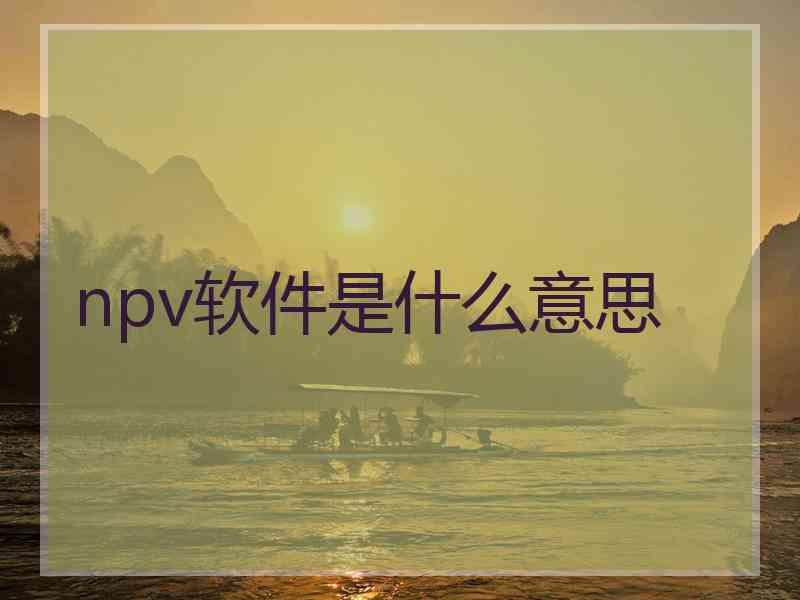 npv软件是什么意思