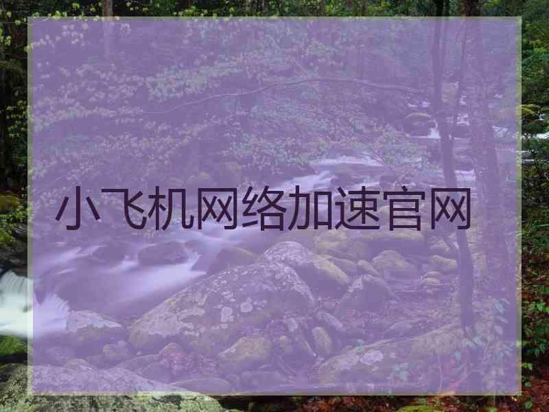 小飞机网络加速官网