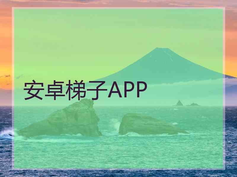 安卓梯子APP