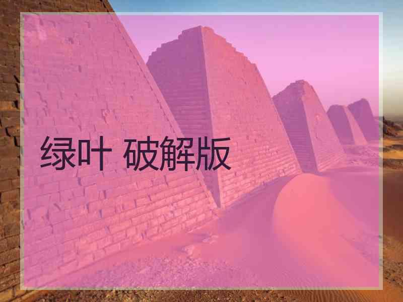 绿叶 破解版
