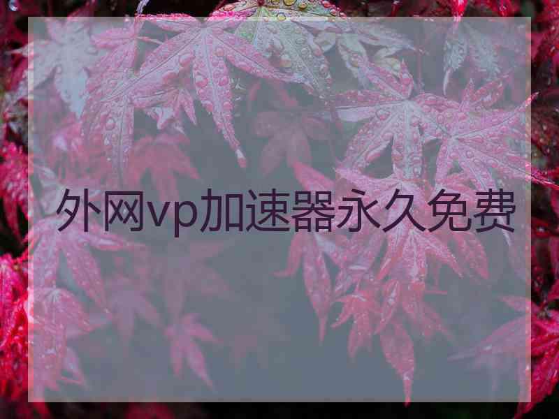 外网vp加速器永久免费