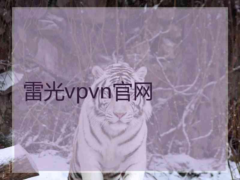 雷光vpvn官网