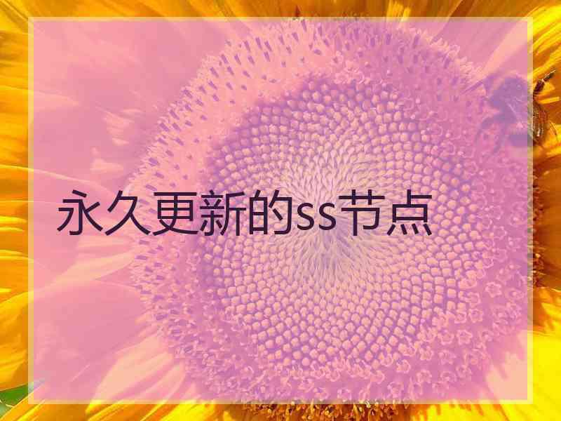 永久更新的ss节点