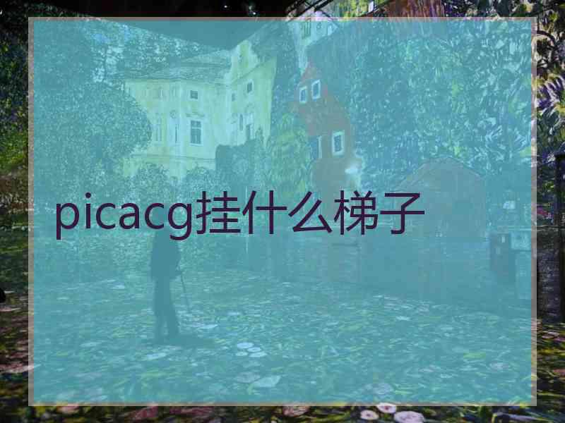 picacg挂什么梯子