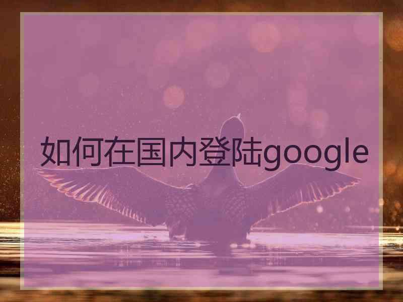 如何在国内登陆google