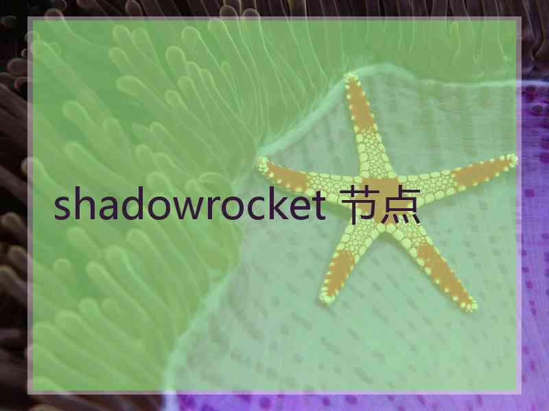 shadowrocket 节点