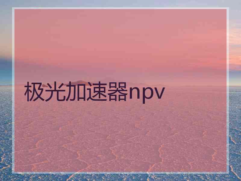 极光加速器npv