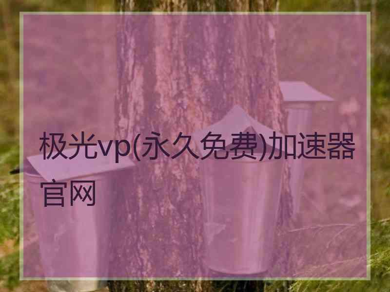 极光vp(永久免费)加速器官网