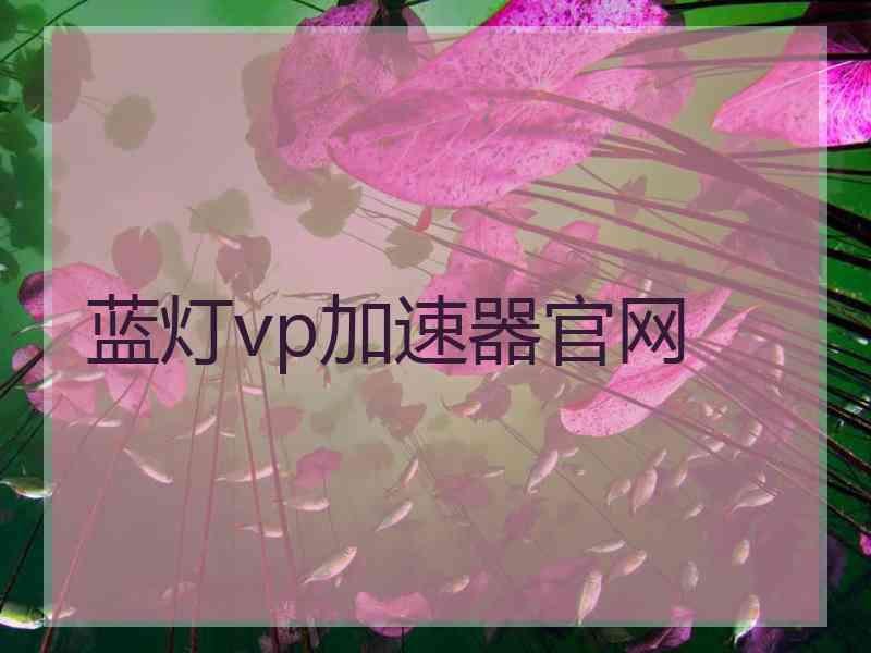 蓝灯vp加速器官网