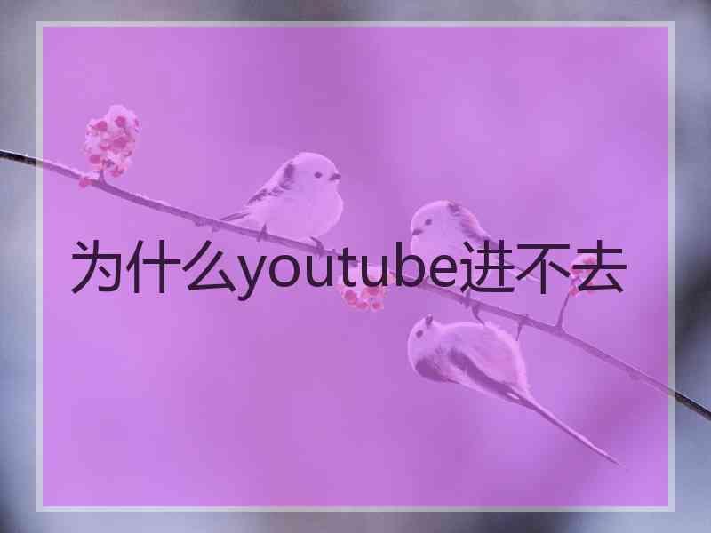 为什么youtube进不去