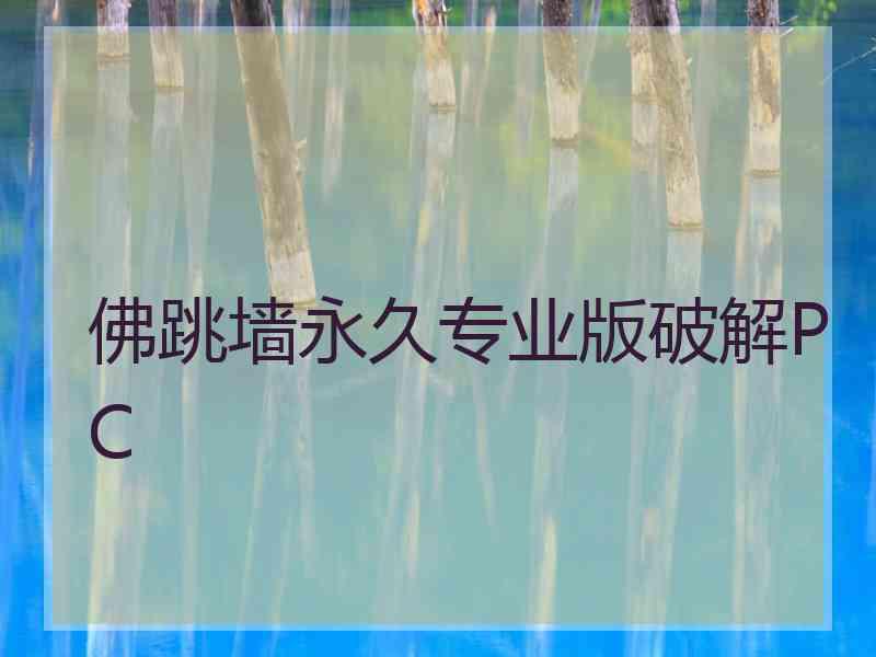 佛跳墙永久专业版破解PC