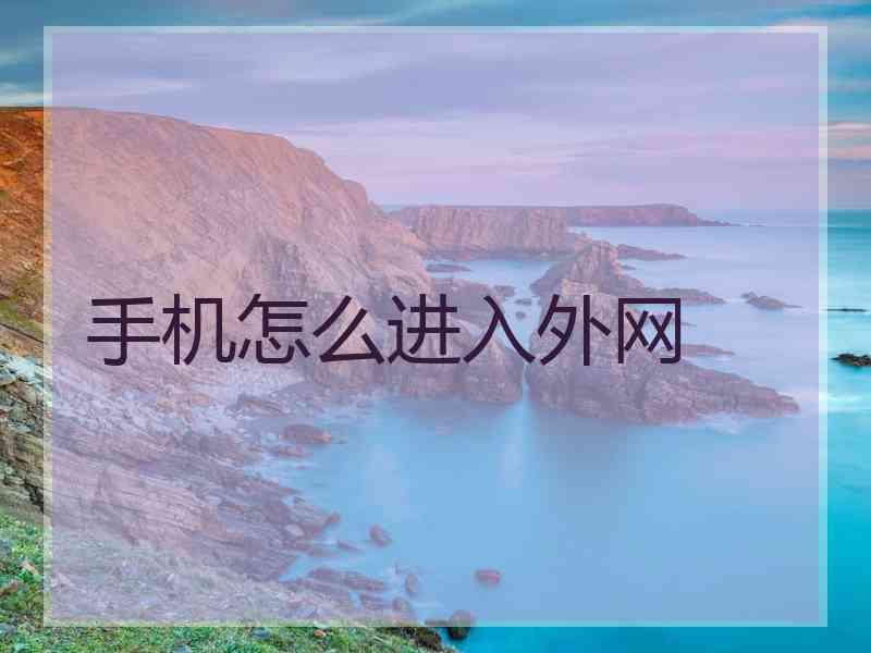手机怎么进入外网