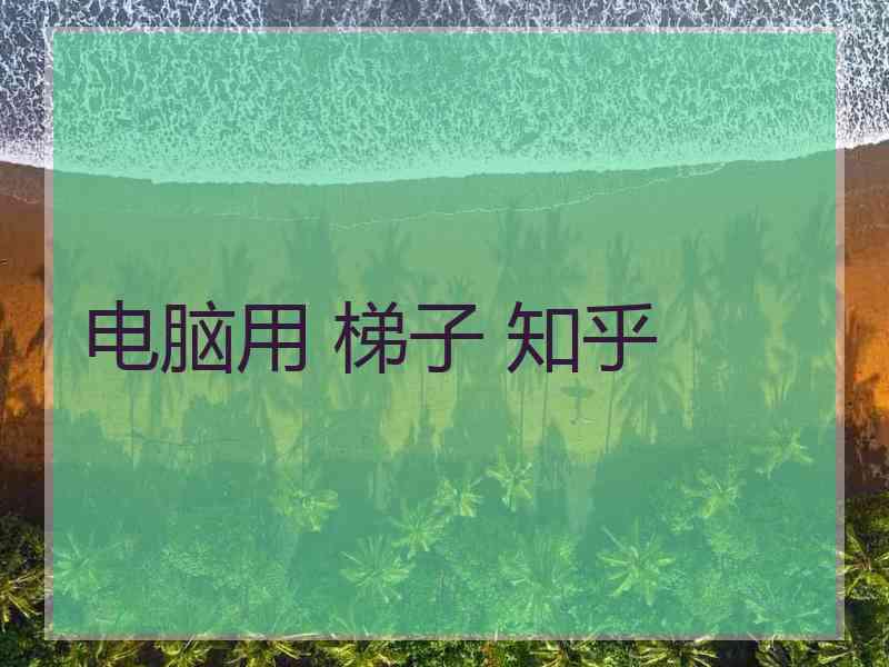 电脑用 梯子 知乎