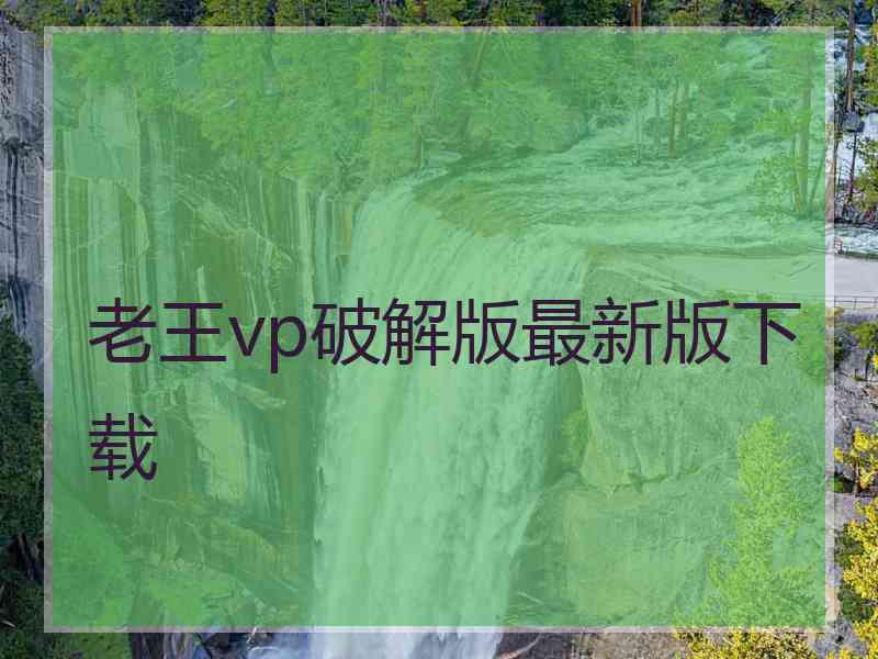 老王vp破解版最新版下载