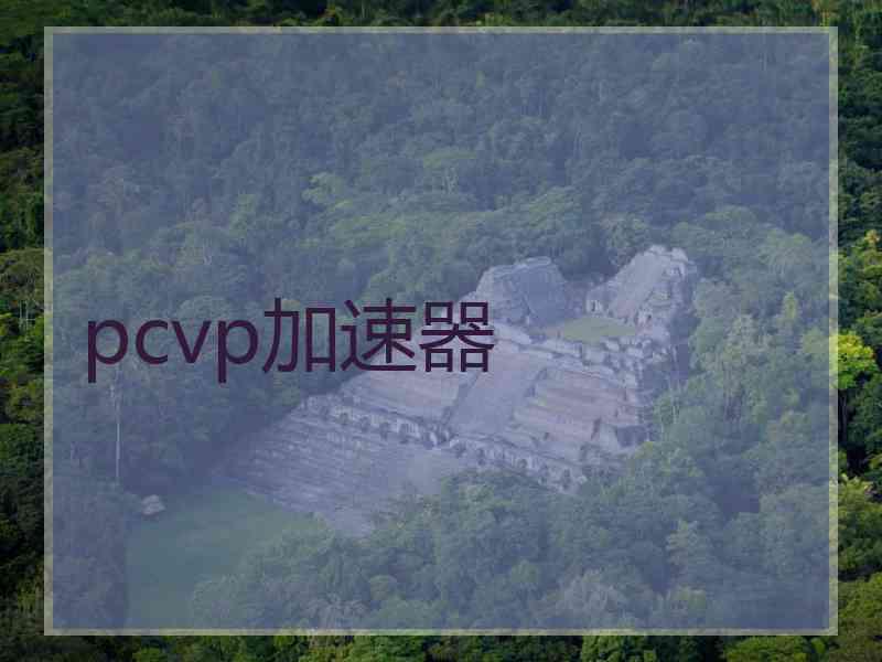 pcvp加速器