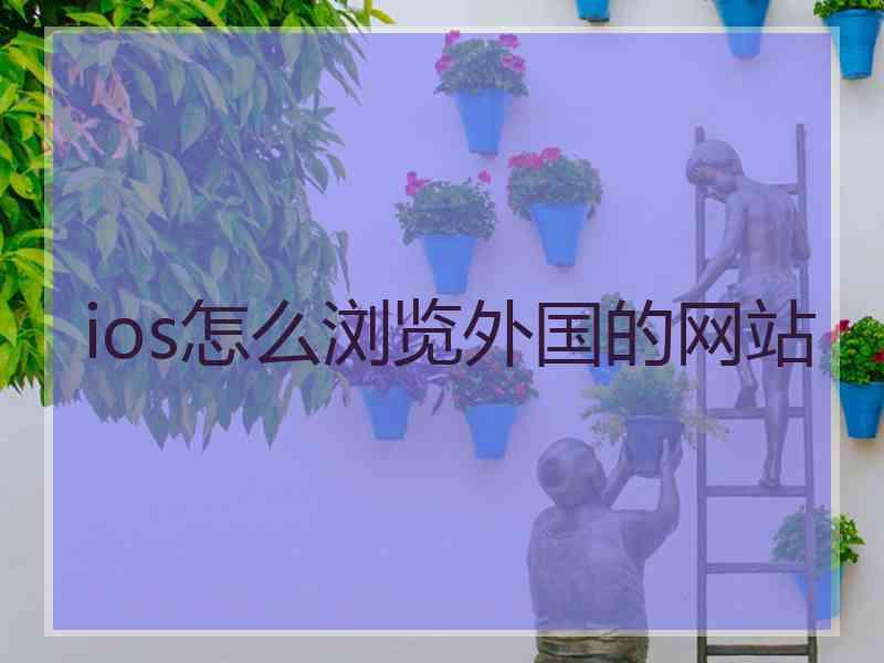 ios怎么浏览外国的网站