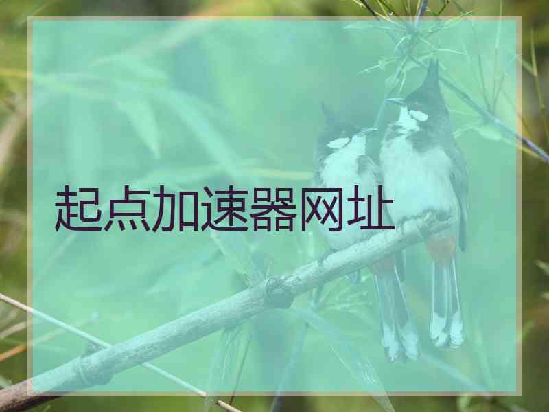 起点加速器网址