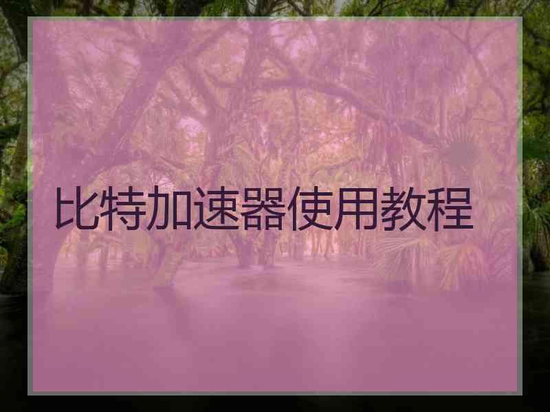 比特加速器使用教程
