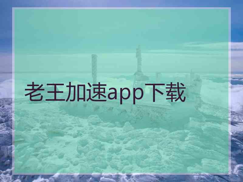 老王加速app下载