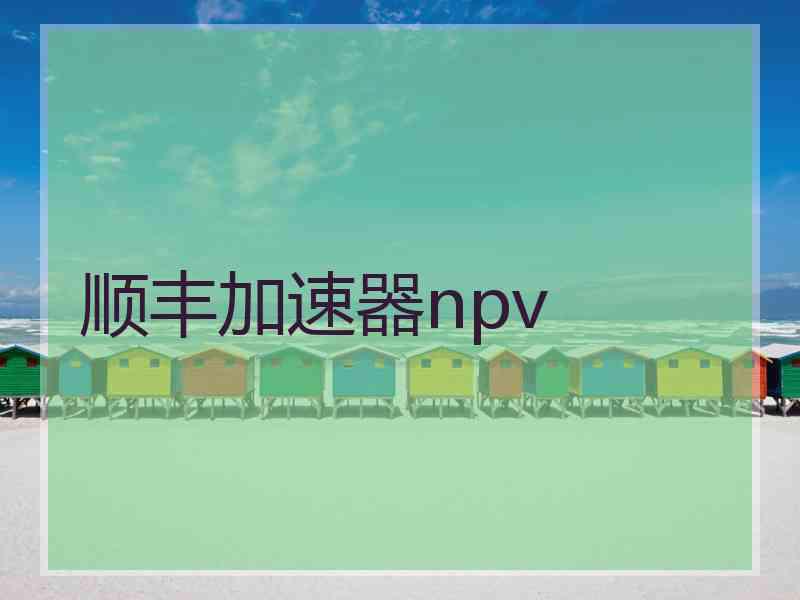 顺丰加速器npv