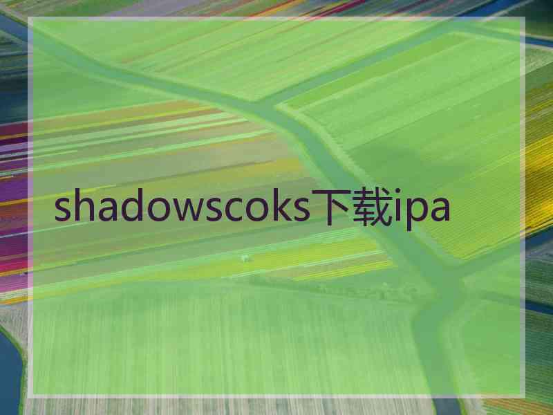 shadowscoks下载ipa