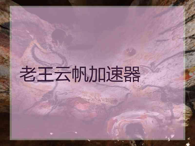 老王云帆加速器