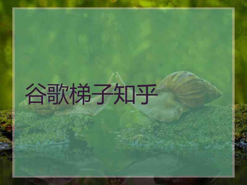 谷歌梯子知乎