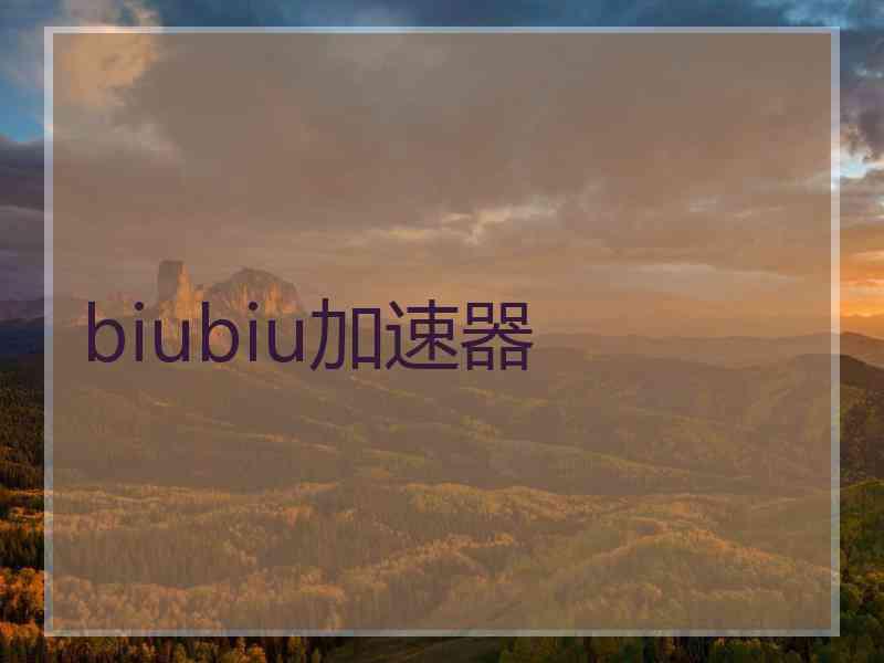 biubiu加速器