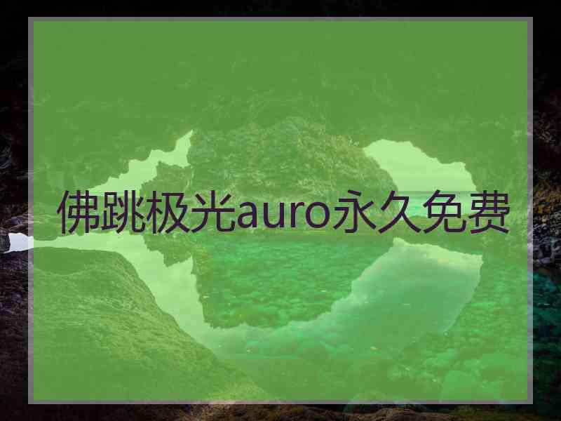 佛跳极光auro永久免费