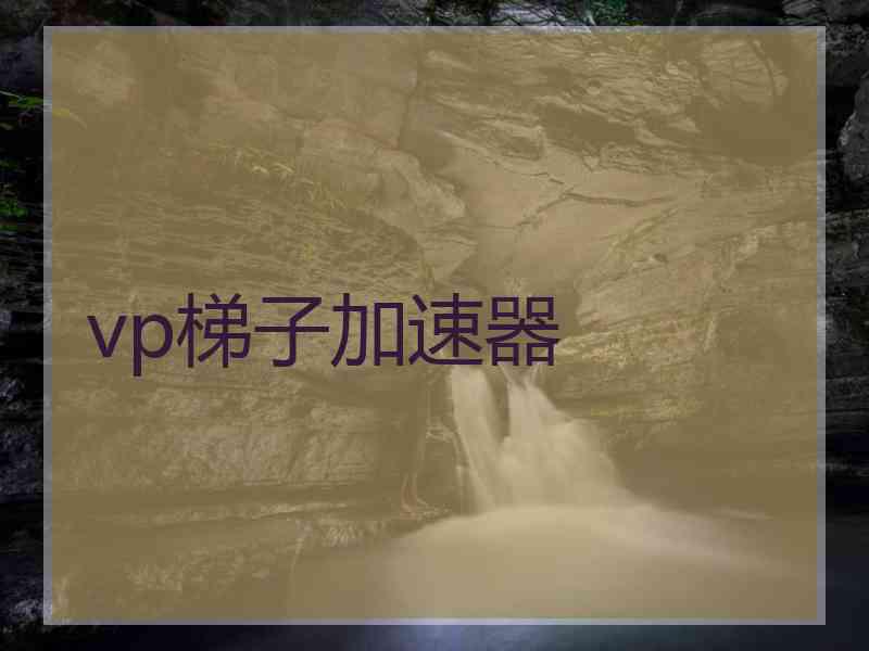 vp梯子加速器