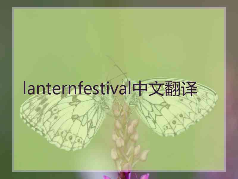 lanternfestival中文翻译