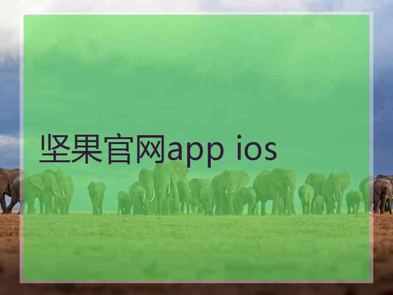 坚果官网app ios