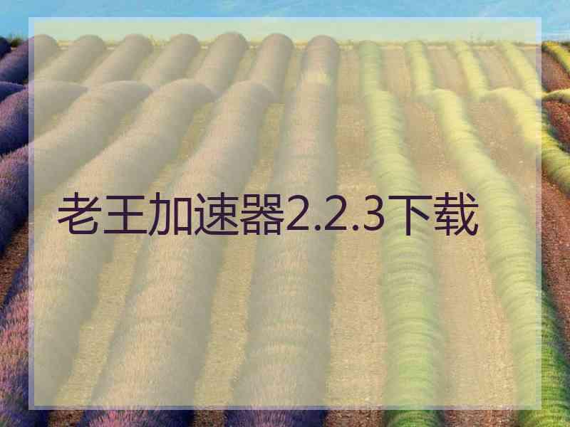 老王加速器2.2.3下载