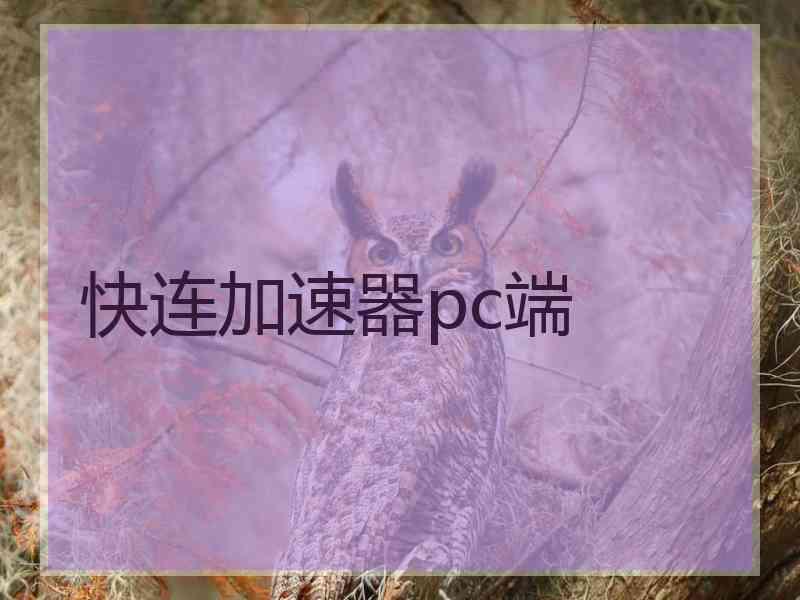 快连加速器pc端